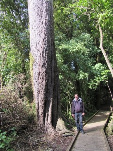 Wellington bis Napier-018